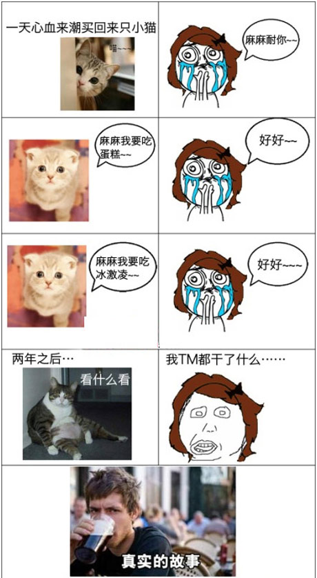 千万别对宠物太好