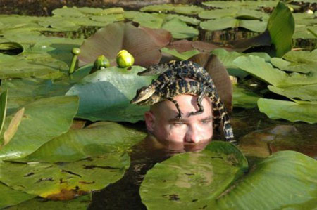 潜伏着