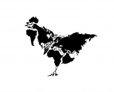 世界地图-鸡