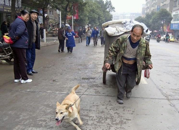 与你一起辛苦的日子