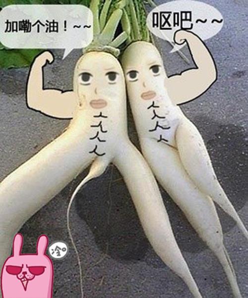 我嘞个去的白萝卜。