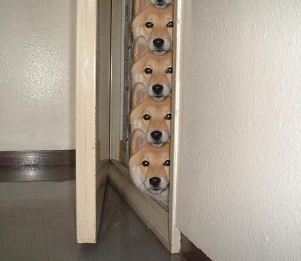 盼望....