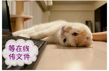 下午没事，收收文件。