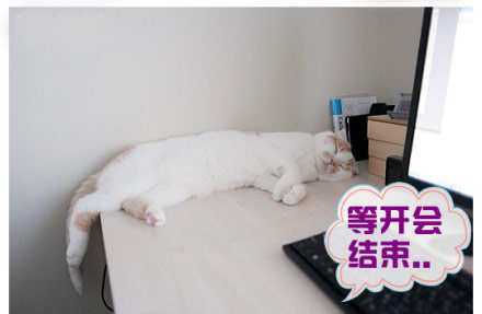 开完会就能下班啦