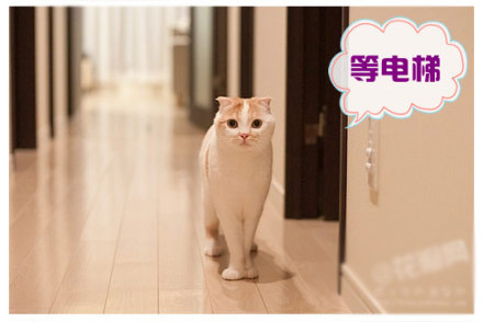 坐电梯回家喽~