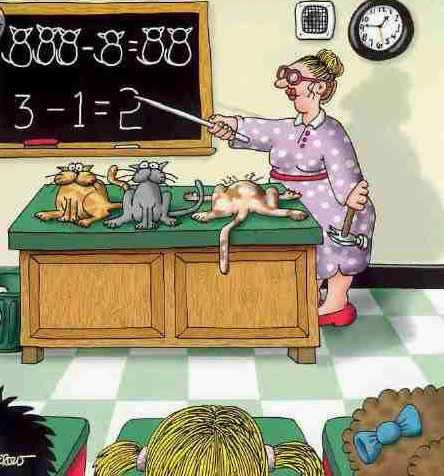 最直观的教学方法——可怜的小猫……