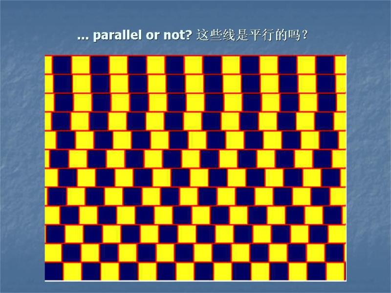 你看到几条平行线？