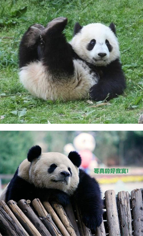 没有色彩的世界，真的好寂寞