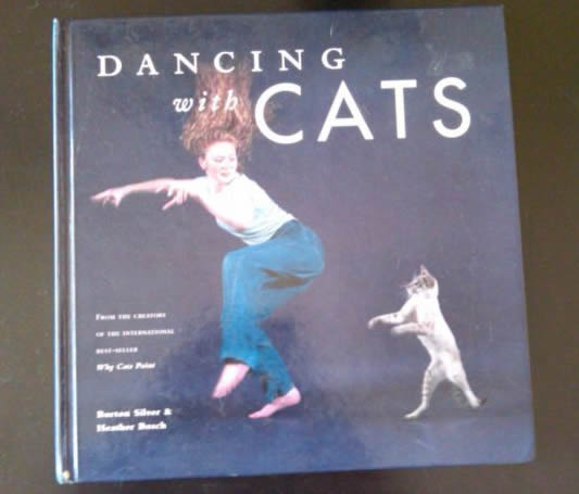 猫学跳舞