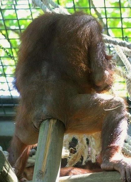 超级重口味....