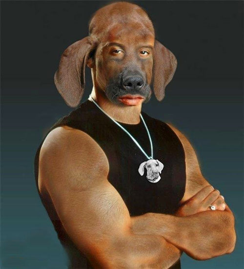 狗头....