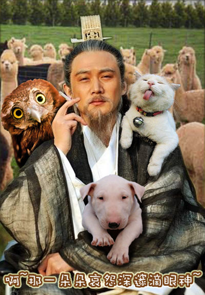 诸葛亮原来是个宠物控