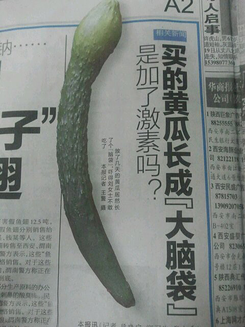 奇葩的黄瓜，要逆天了