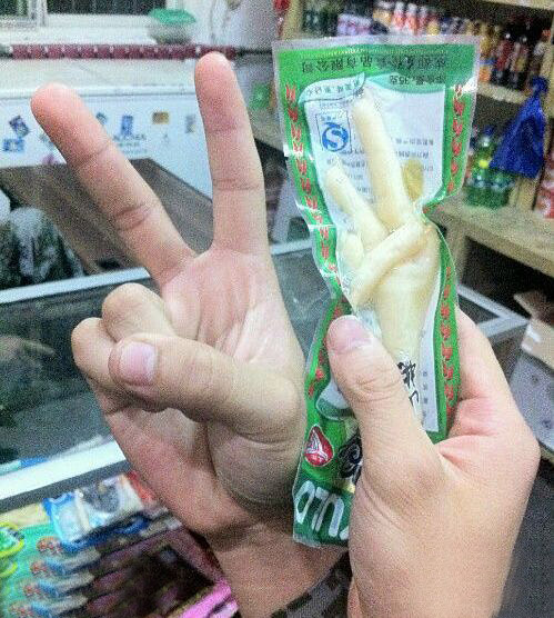 这样的爪子我也有一对。
