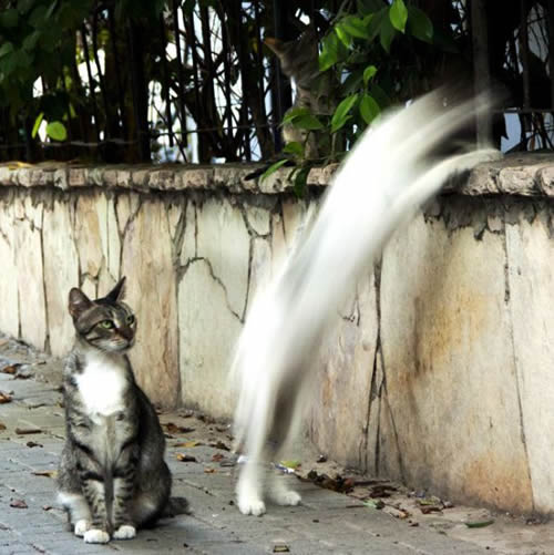 看这速度