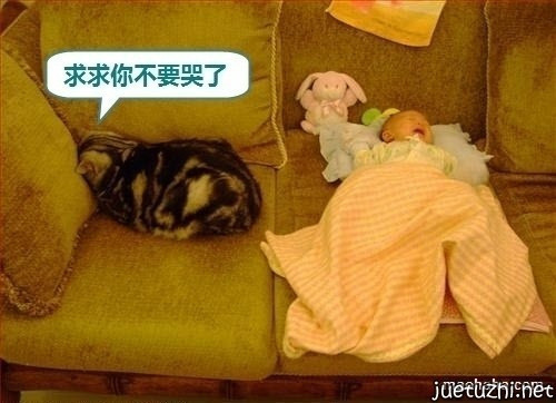求求你不要哭了