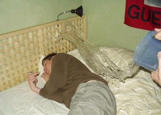 杯具了