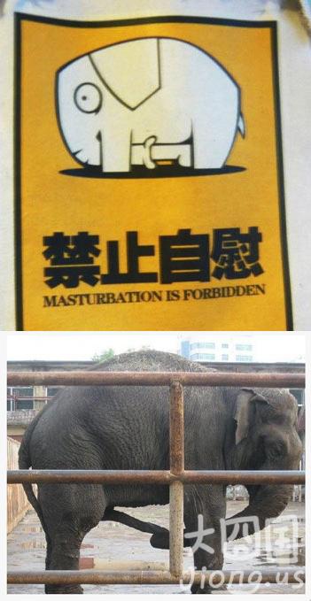 禁止自卫