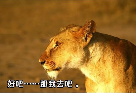 好吧好吧~~那我自己去。