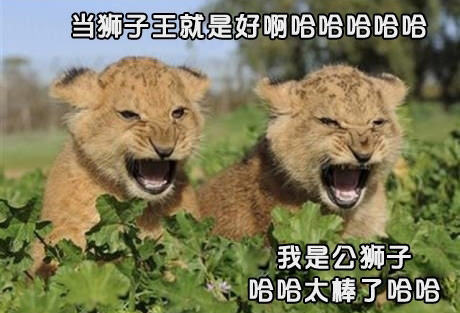 弟弟，当狮子王真好~~~~