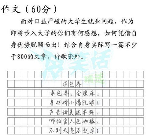 高考作文...雷死人你。