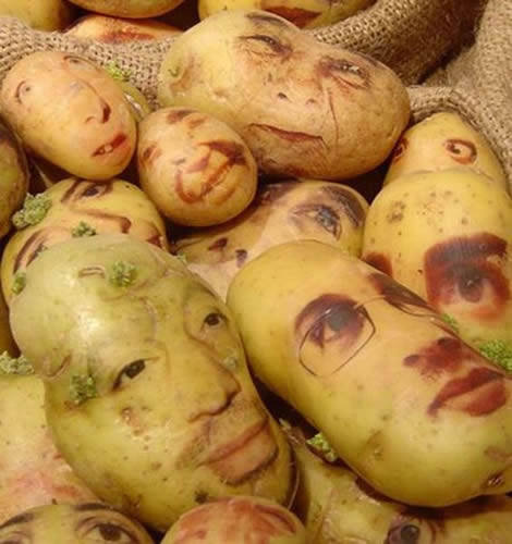 人性化的土豆
