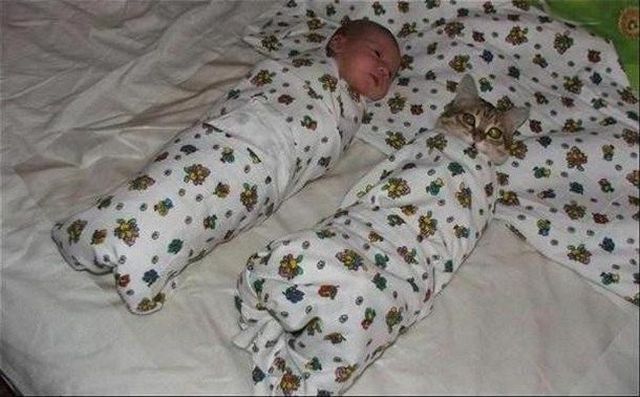 两个baby