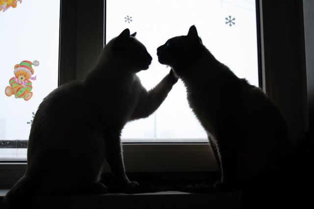 亲爱的，我很快就会回来的