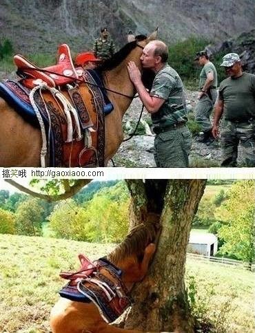 普京到底说了啥