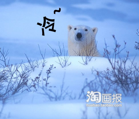 狗熊说，好冷~~~