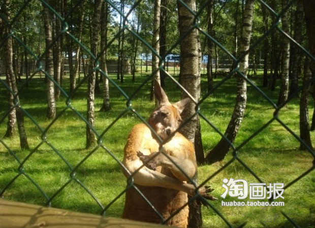 我是老大