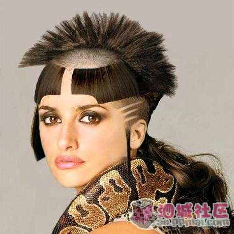这个是明星吗