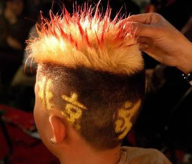 看这是新长出来的毛