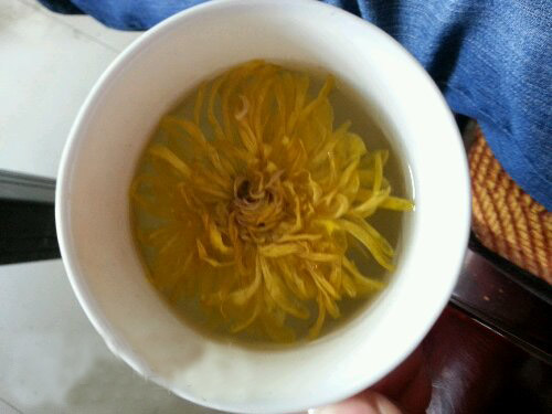 菊花茶，含义那个深刻啊。