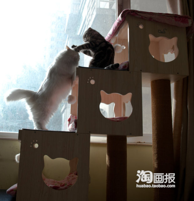小样，别想上来。