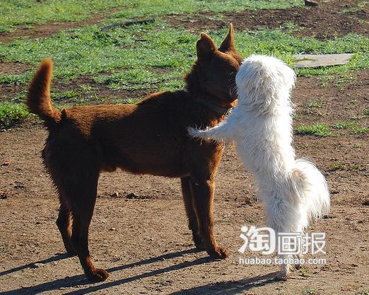 亲爱的，来嘴一个。