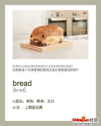 面包？狗？纠结…