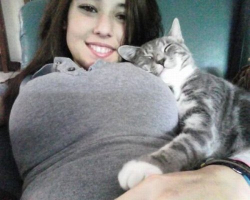 幸福的猫咪
