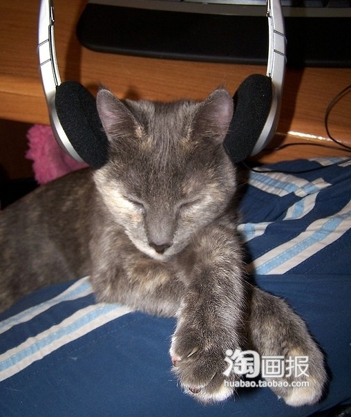 我爱音乐