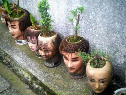 这样的花盆你玩得起么？