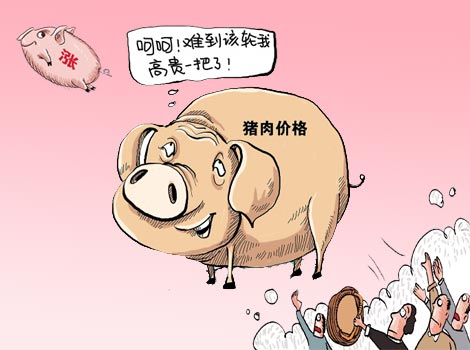猪窝笑了