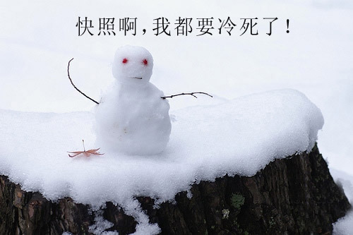 雪白的孩子....
