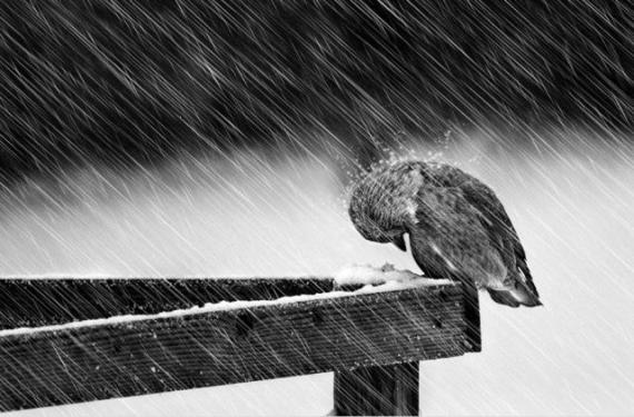 经历风雨，我就能见彩虹