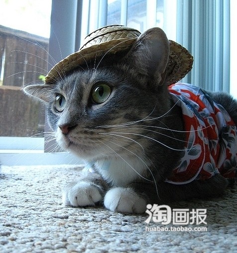 我的帽子漂亮吗？