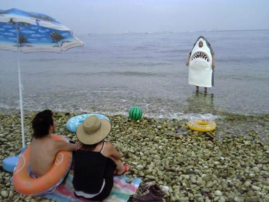 我在海边遇到鲨鱼了！！