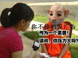 作为一个禽兽，请问你压力打吗？