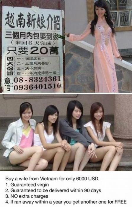 越南新娘介绍.你动心不？