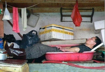 夏天这样过舒服着呢。