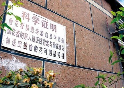 偷个花也不容易啊！