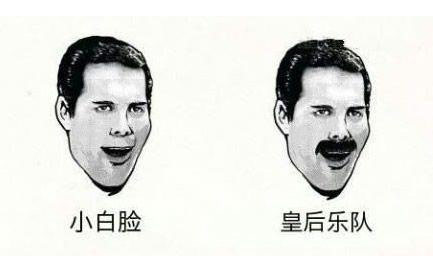 小白脸与皇后乐队的区别